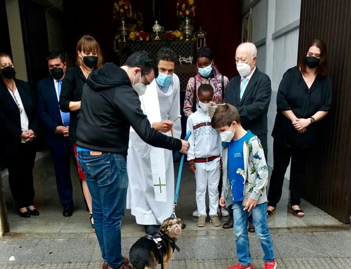 bendición de animales