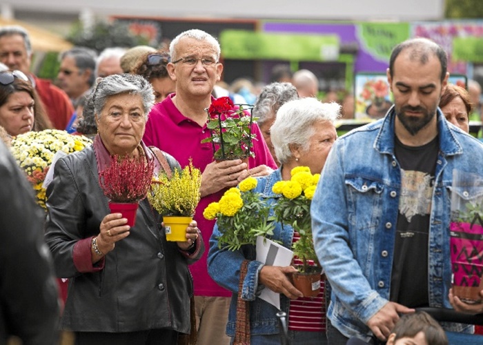 Mercado de las Flores y las Plantas