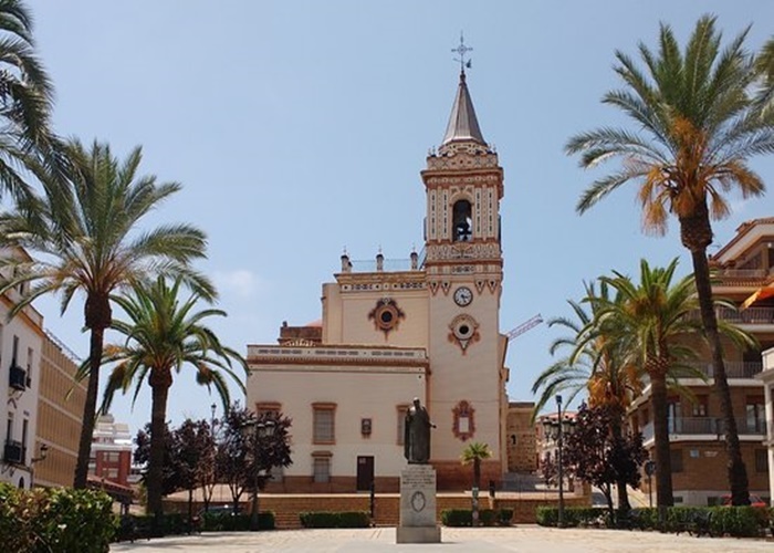 palmera Plaza de San Pedro