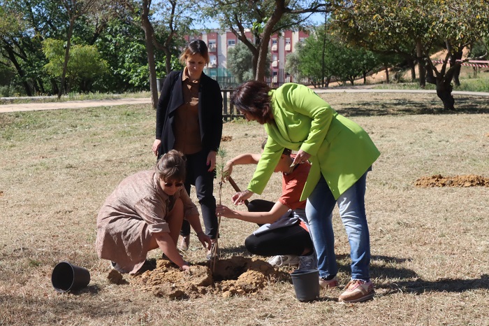 Bosque Erasmus