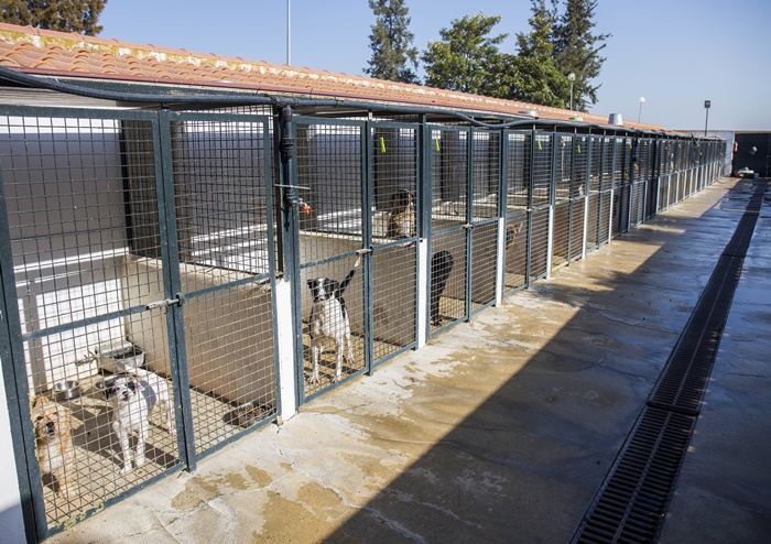 Centro de Acogida de Animales