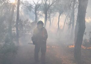 incendio de El Portil