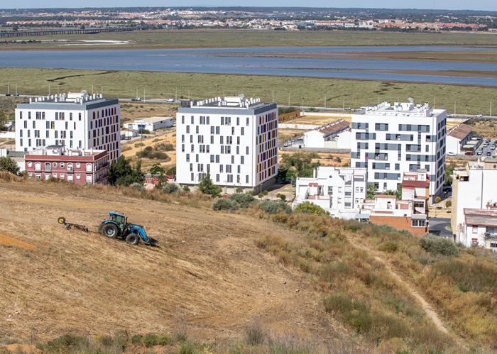 limpieza de solares