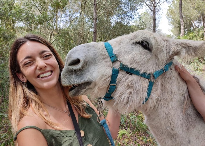 Los burros de Doñana