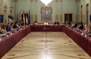 Pleno del Ayuntamiento