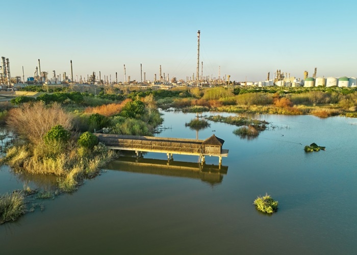 Día del Medio Ambiente