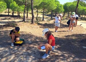 programa de educación ambiental