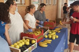 Día Mundial de la Alimentación Saludable