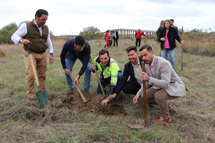 Marismas del Odiel cuenta con 680 arbioles nuevos