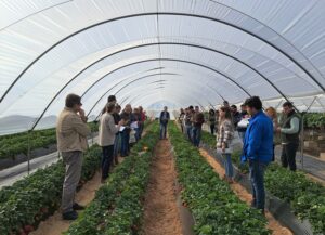 El centro Ifapa de Huelva ha realizado una jornada de puertas abiertas en la que ha participado un centenar de profesionales