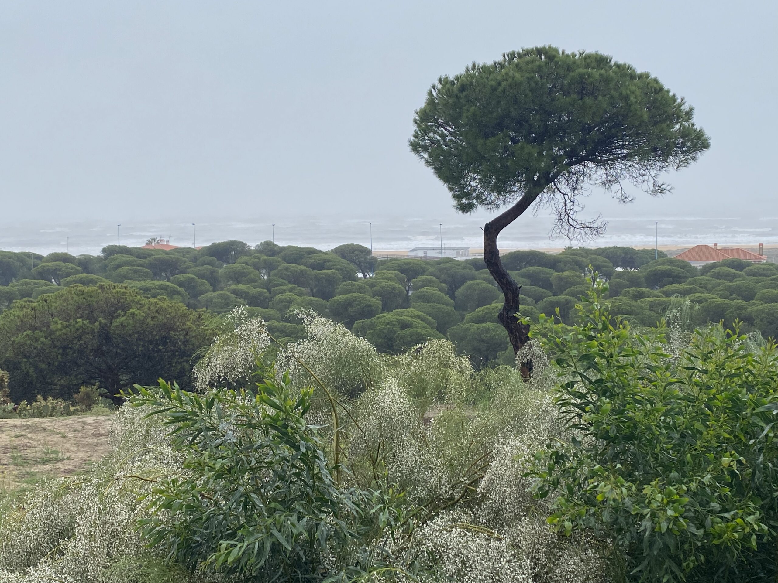 Lluvias en Huelva 9 de febrero 2024