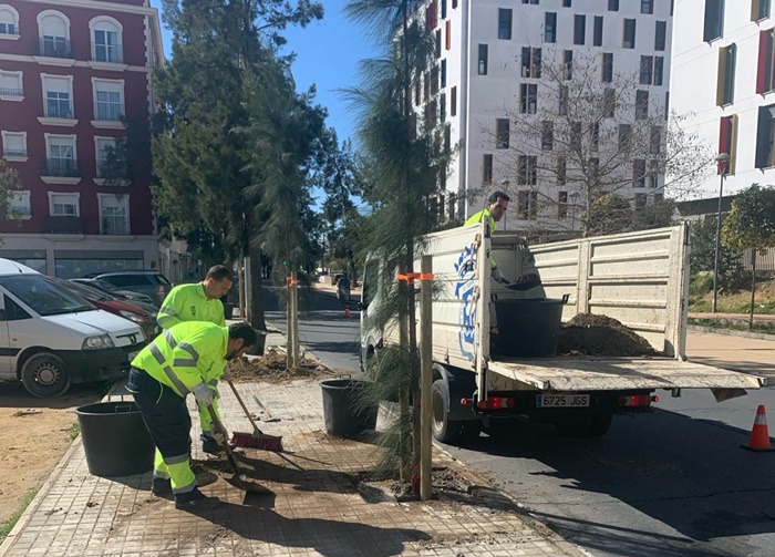 Hasta el momento se han plantado 470 ejemplares y está en camino una nueva remesa de otros 130, antes de la primavera