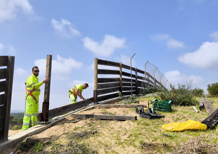 La Junta ha recibido 24 ofertas de un lote para la zona Sureste, que incluye más de una veintena de vías autonómicas