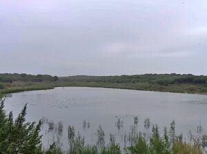 La Laguna de El Portil