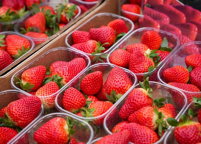 Centro de Referencia Nacional de los Frutos Rojos