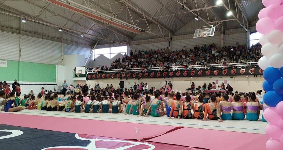 Los aficionados que llenaron el pabellón Diego Lobato pudieron disfrutar de una gran jornada de gimnasia rítmica con la disputa del I Torneo 'Huelva Original'.