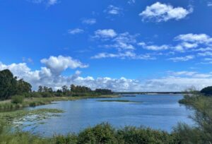 Panorámica de la Laguna de las Madres