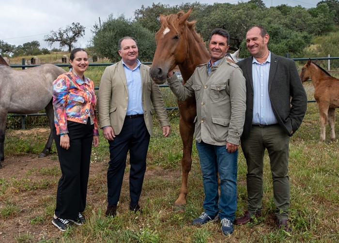 criadores de ganado marismeño