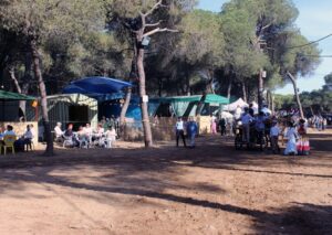 uso de camellos en la romería de Cartaya