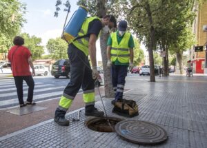 campaña municipal de desratización y desinsectación