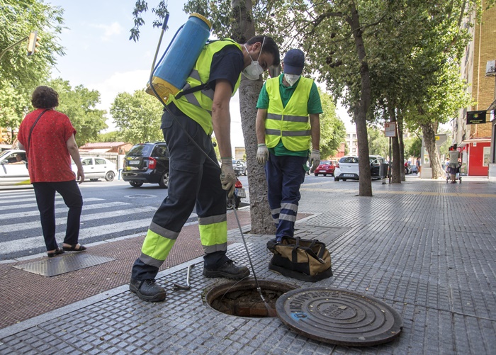 campaña municipal de desratización y desinsectación