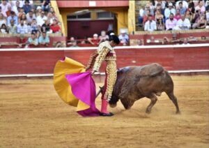 Toros desde el callejón, arizmendi plaza la merced