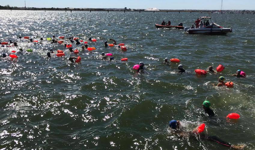 Todo un éxito resultó la XII Travesía Colombina de Natación, prueba que reunió a 90 nadadores en la Ría de Huelva. / Foto: @CNHUELVA.