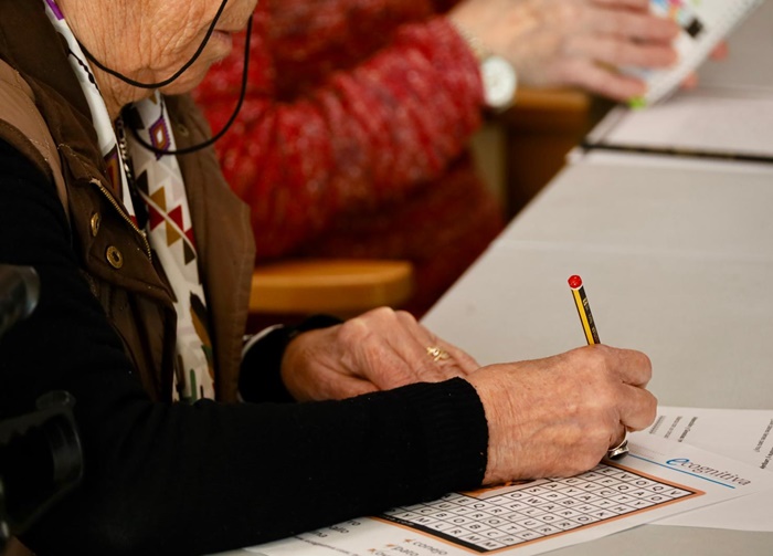 centros de participación activa