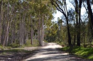 La Junta destaca el valor etnográfico, antropológico y cultural del Arboreto de 'El Villar' en Huelva