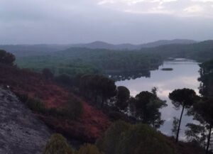 incendio de Calañas