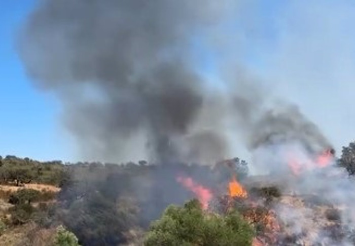 incendio san silvestre