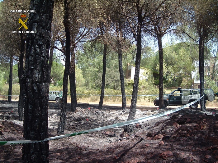 incendios forestales provocados