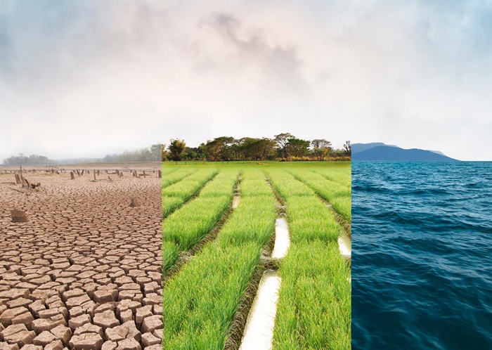 ayudas cambio climático