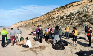 Playa Asperillo limpieza voluntarios 3