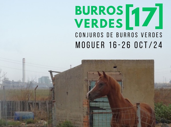 Burros Verdes 2024