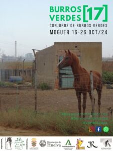 Burros Verdes 2024