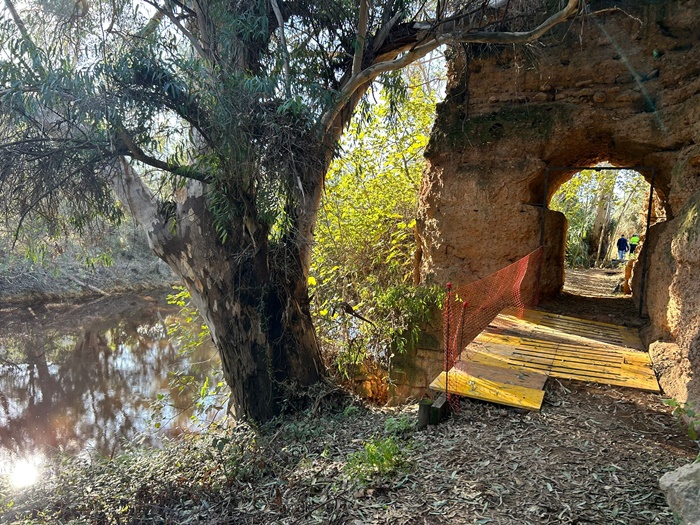 Muralla de Niebla