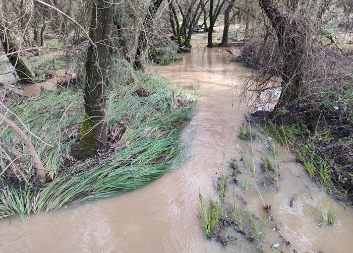 Doñana y su entorno recobran el esplendor