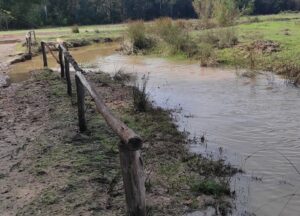 Doñana y su entorno recobran el esplendor