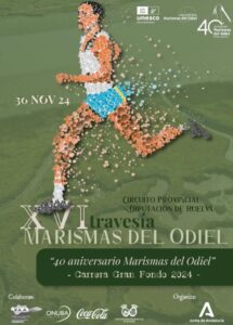 Cartel anunciador de la edición de este año de la Travesía ‘Marismas del Odiel’.